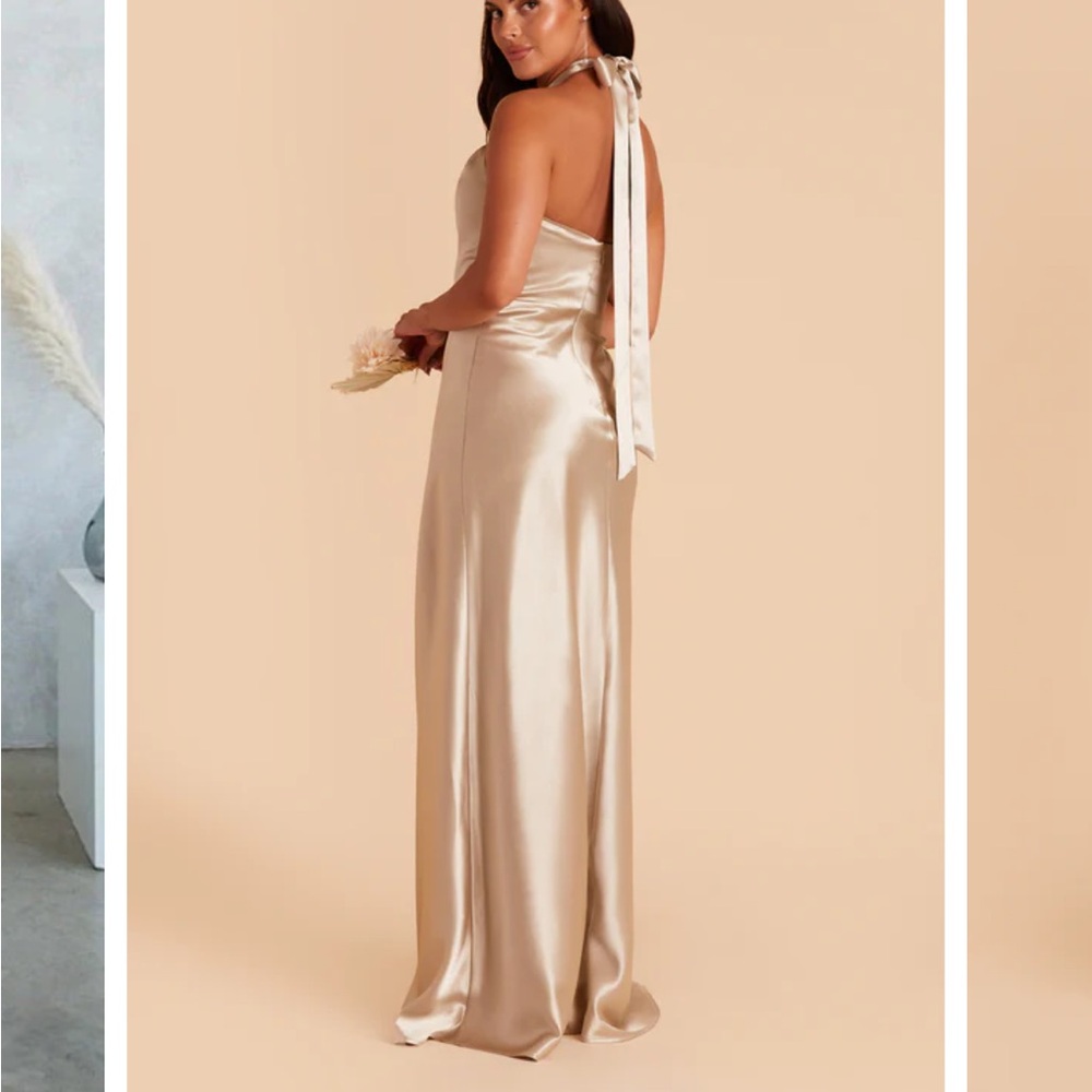 Birdy Grey- Champagne Dress Size Small